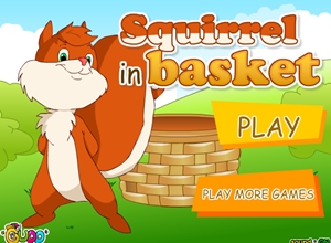  Squirrel in basket