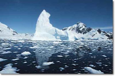 ขั้วโลกเหนือจะหมดสิ้นทะเลน้ำแข็ง ใน 20-30 ปีหน้า 