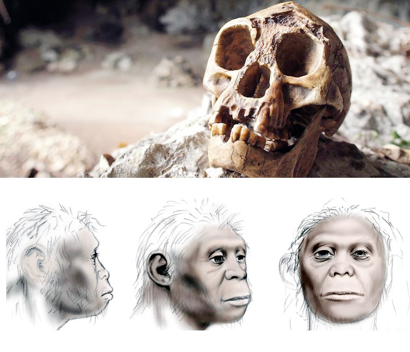 "เดอะ ฮ็อบบิท" กับทฤษฎีวิวัฒนาการมนุษย์