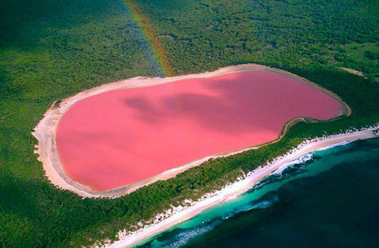เลค ฮิลเลอร์ ทะเลสาบสีชมพู ประเทศออสเตรเลีย 