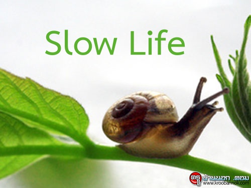 ใช้ชีวิต Slow Life เพื่อความสุขยืนยาว ช้าแต่ชัวร์!!