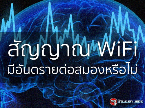 สัญญาณ WiFi มีอันตรายต่อสมองหรือไม่