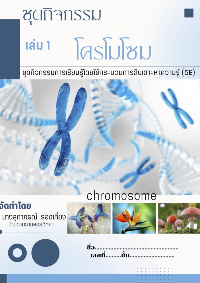 ชุดกิจกรรมการเรียนรู้โดยใช้กระบวนการสืบเสาะหาความรู้ (5E) เรื่อง โครโมโซม : สุภาภรณ์ รอดเที่ยง