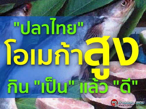 "ปลาไทย" โอเมก้าสูง กิน "เป็น" แล้ว "ดี"