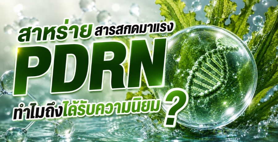 PDRN สาหร่ายสารสกัดมาแรง ทำไมถึงได้รับความนิยม?