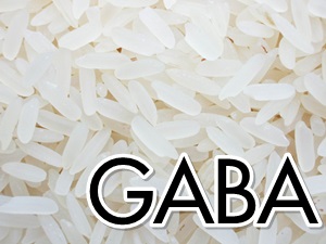 "กาบา (GABA)" สารอาหารในเมล็ดข้าว