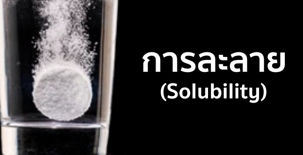 การละลาย (Solubility)