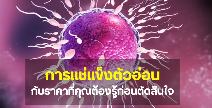 秵͹ ѺҤҷسͧ͹ѴԹ