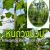 "�Թ��ǧ�Ǻ"����»�١��� ����˭� ��� �������ҡ