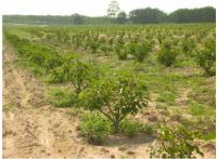 ��ԡ���ʹ��Ҿ����˭���