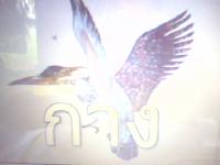 ��ԡ���ʹ��Ҿ����˭���