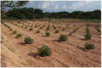 ��ԡ���ʹ��Ҿ����˭���