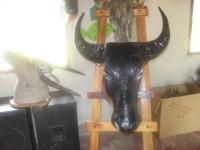 ��ԡ���ʹ��Ҿ����˭���