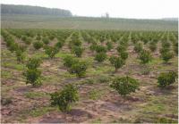 ��ԡ���ʹ��Ҿ����˭���