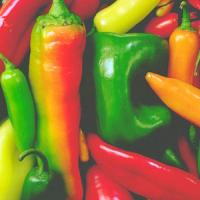 ��ԡ���ʹ��Ҿ����˭���