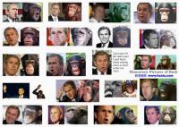 ��ԡ���ʹ��Ҿ����˭���